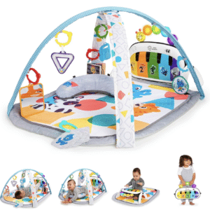 Baby Einstein Baby Gym