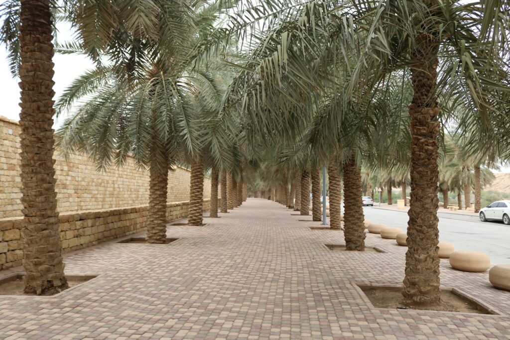 a row of palm trees next to a brick wall